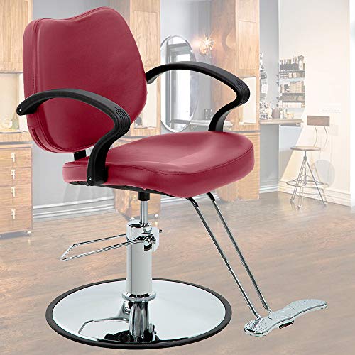 Dkeli Salon Chair Barber Chair Styling Chair Hydraulic Heavy Duty