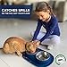 Bonza Cat or Small Dog Bowls with Spill-Proof Mat,12 oz Stainless Steel Feeding Dishes