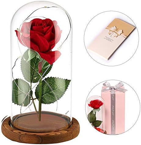 Anaoo Rose in Glass/LED Fairy String Lights/Artificial Flower/flosers Lasts Forever in Glass Dome, Wooden Base Gift