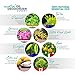 Shoe Deodorizer Spray Foot Spray Odor Eliminator for Shoe and Sneaker Car Gym Bag Boxing Glove Deodorizer Odor Eaters for Shoes Spray for Stinky Feet Smell Odor