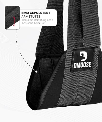 DMoose Fitness Hanging Abdominal Straps for Pull-Up Bar & Core Strength Training - Thick Padded Arm Strap for Abdominal Swing with 2 Rustproof Carabiners - Pull-Up Straps for Abdominal Training