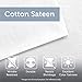 Madison Park Lola Sateen Cotton Comforter Set-Casual Medallion Floral Design All Season Down Alternative Bedding, Shams, Bedskirt, Decorative Pillows, Queen(90