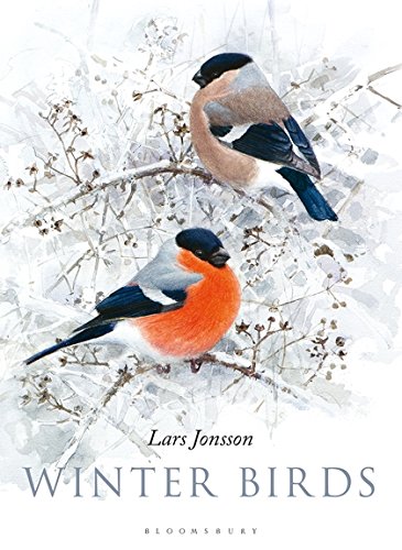 Free Winter Birds<br />[P.P.T]