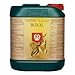 Bud XL - 5 liter