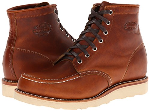 chippewa 1901m22