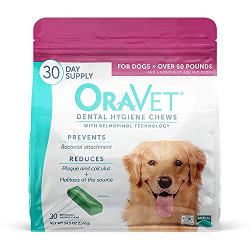 10 Best Dog Dental Chews of 2022 Dog Digz