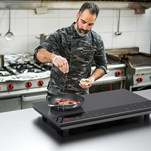 PAYISHO Double Induction Burner Induction cooktop, Countertop cooktop