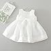 Dream Rover Baby Girl Dress Princess Wedding Formal Cristening Baptism Dress