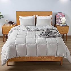 KASENTEX All Season Quilted Comforter Set Twin with