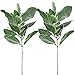 Aisamco 6 Pcs Artificial Flocked Lambs Ear Leaf Spray Rabbit Ear Leaf in Silver Green Fake Plants Artificial Greenery Wedding Bouquet Artificial Plants Green Leaf Floral Arrangement