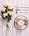 PARTY JOY Vintage Artificial Silk Rose Flower Bouquet Wedding Party Home Decor,Park of 10 (Champagne, 10Pcs)