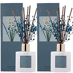 Cocorrína Premium Reed Diffuser Set with Preserved