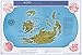 Continental Drift: The Evolution of Our World from the Origins of Life to the Far Future (Blueprint Editions)