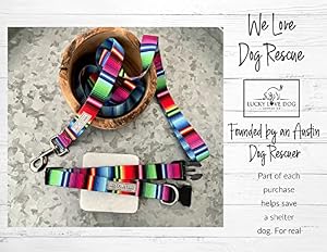 Lucky Dog delicate Adult Minis