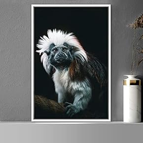 signwin Framed Canvas Wall Art Monkey Animals Expressive...