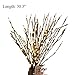 3 Pcs Warm White 20 LED Lighted Twig Branches Battery Operated Artificial Tree Lights Willow Branch Lamp for Home Decor Holiday Party Decoration (1)