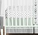 Sweet Jojo Designs 11-Piece Grey, Navy Blue and Mint Woodland Arrow Baby Boy or Girl Crib Bed Bedding Set Without Bumper