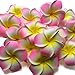 DreamLily Women's Fashion 3 Pcs Hawaiian White Plumeria Flower Foam Hair Clip Balaclavas for Beach (Candy Pink)