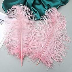24pcs Natural Lotus Pink Ostrich Feathers 10-12inch