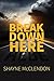 Break Down Here: A Country Romance