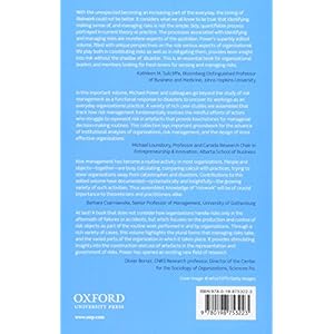 Riskwork: Essays on the Organizational Life of Risk Management