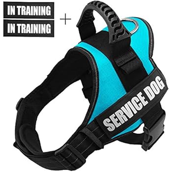 Fairwin Service Vest Dog Harness - Adjustable Nylon with Removable Reflective Patches for Service Dogs Large Medium Small Sizes (XL:Chest 33