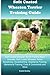 Soft Coated Wheaten Terrier Training Guide Soft Coated Wheaten Terrier Training Book Includes: Soft by Estelle Bradley