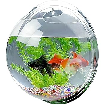 amazon.com : mirror face style acrylic round wall mounted