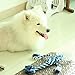 Dog Cotton Rope Toys, Bondpaw Dog Interactive Chew Toys with TPR Round Ring for Dog Chewing and Training Handle