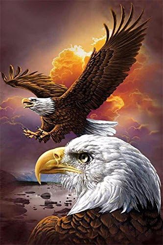 THF Full Drill Diamond 5D DIY Diamond Painting 3D Embroidery Cross Stitch Rhinestone Mosaic Painting Home Decor Beach Hawk Eagle 30X40CM