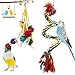 PETUOL Bird Swing Toys, 5 Colorful Hanging Loofah Toys for Small to Medium Parrots, Parakeets, and Lovebirds