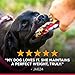 Hill's Science Diet Dry Dog Food, Adult, Perfect Weight, Chicken Recipe, 15 lb Bag