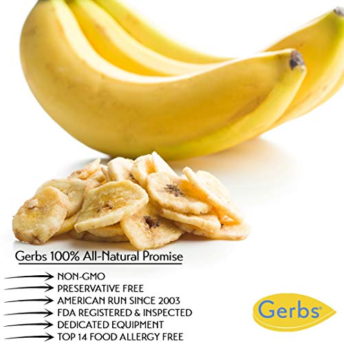 GERBS Unsweetened Banana Chip Slices 14 Oz. Freshly made Resealable Bag Top 14 Food Allergy