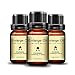 Tidodo Lanthome Herbal Massage Oil Essential Oil Serum Oil
