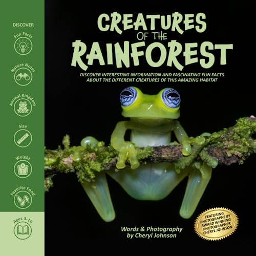 Amazing Creatures of the Rainforest Rainforest picture book for kids with fun interesting