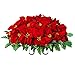 Sympathy Silks Artificial Cemetery Flowers – Realistic Vibrant Roses, Outdoor Grave Decorations - Non-Bleed Colors, and Easy Fit - Red Poinsettia Saddle for Headstone
