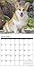 Just Corgis 2017 Calendar