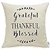 Meekio Farmhouse Pillow Covers with Grateful Thankful Blessed Quotes 18