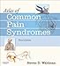 Atlas of Common Pain Syndromes E-Book