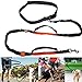Retractable Hands Free Dog Leash, Dual-Handle Bungee Extendable Shock Absorbing Leash Reflective Stitching Adjustable Waist Belt for For Running, Walking, Hiking, Dog Training Up to 150 lb Large Dogs
