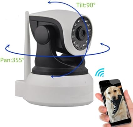 buy white golden retriever puppy