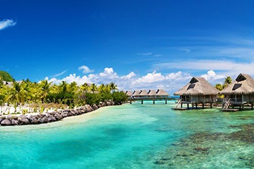 Amazon Com Bora Bora Bungalows Nature Poster Canvas Art Print