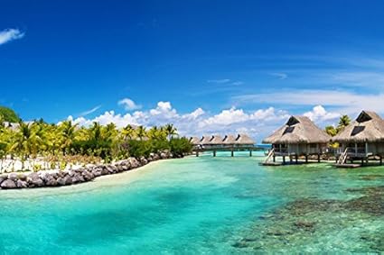 Amazon Com Bora Bora Bungalows Nature Poster Canvas Art Print