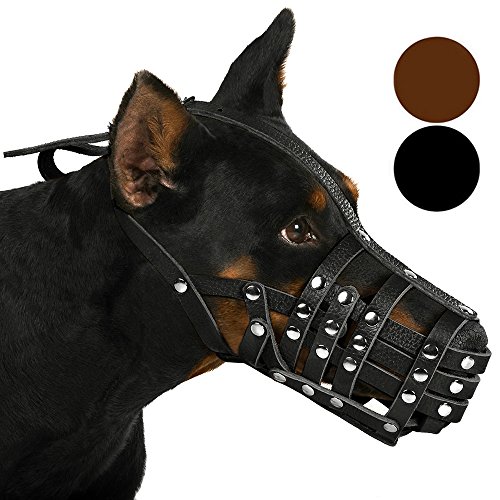 Collardirect doberman dog muzzle leather colly basket b…