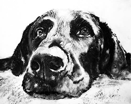 Amazon.com Black Labrador Dog Wall Art Print Black Lab 
