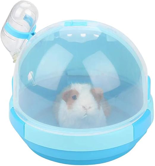 hamster accessories amazon