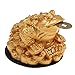 Feng Shui Fortune Oriental Chinese Wealth Coin Decor Gift for or Family