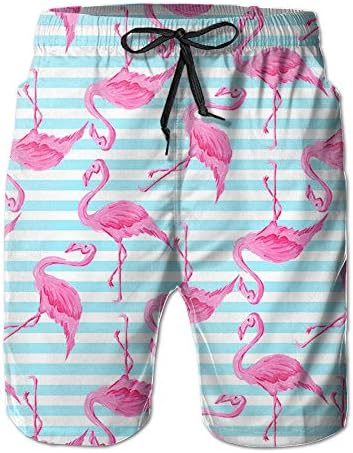 KKZOQ Blue Stripes Flamingo Create Swim Trunk Printed Beach Shorts For Men Movie Water Shorts