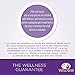 Wellness Healthy Indulgence Natural Grain Free Wet Cat Food, Salmon & Tuna, 3-Ounce Pouch (Pack Of 24)