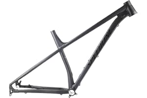 BSFHQS 29ER Aluminum Alloy Mountain Bike Frame M/L Thru Axle 12x148mm Boost Frame Disc Brake XC Hardtail Frame,Max 2.35" Tire(Gray,29" L)